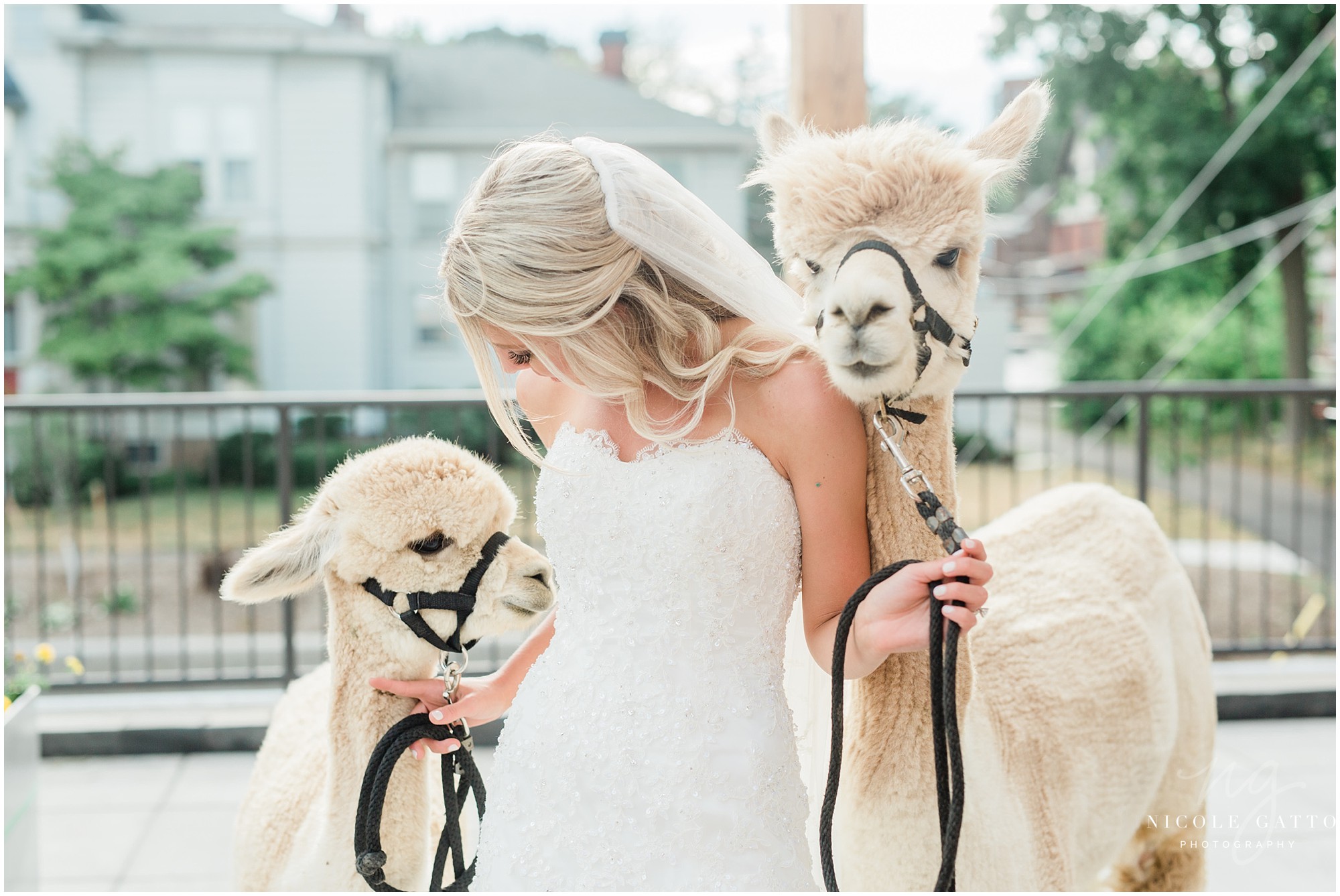 wedding_at_the_Doubletree_Niagara_Falls_NY