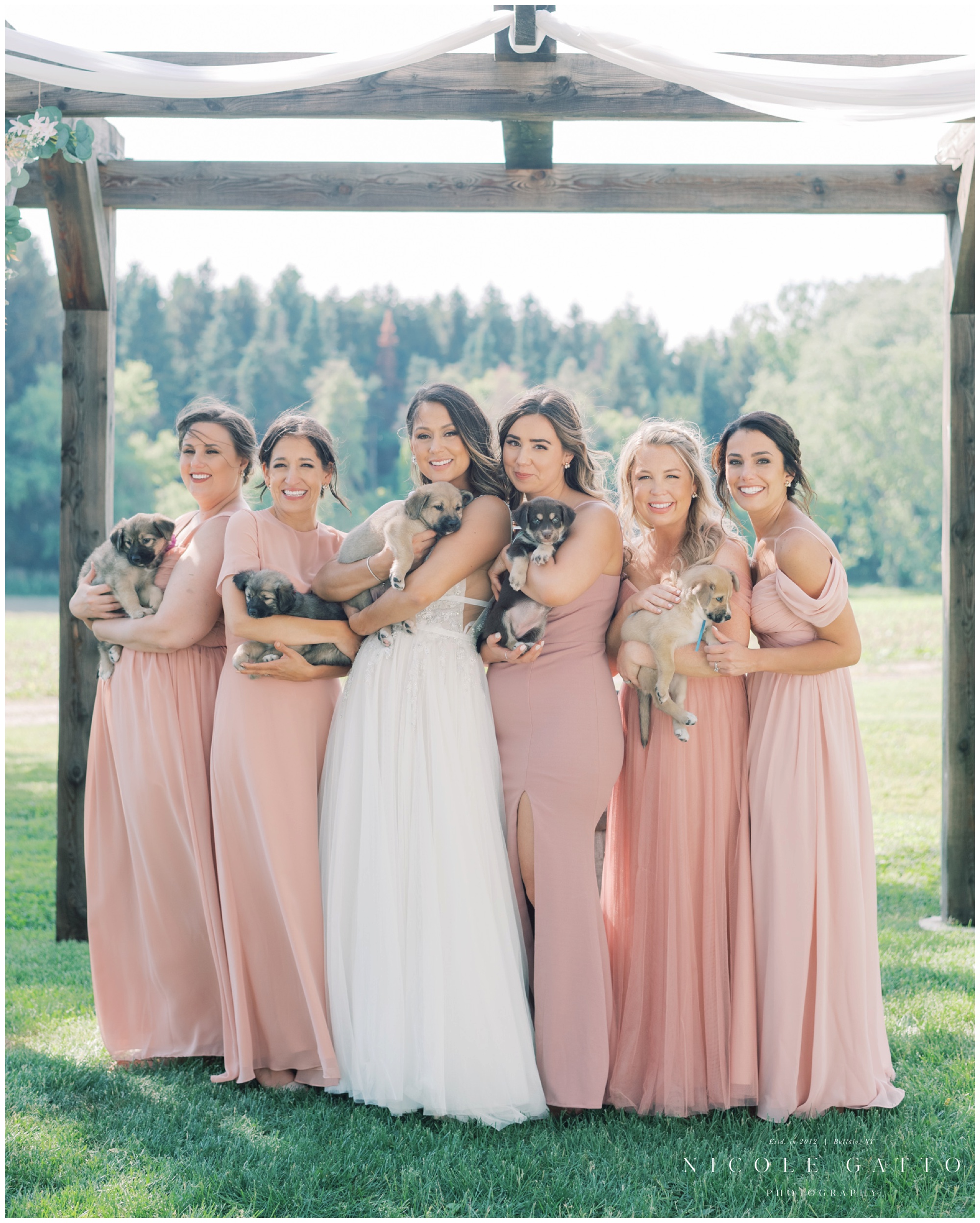 bridesmaids with puppies at wedding at Hayloft in the grove 