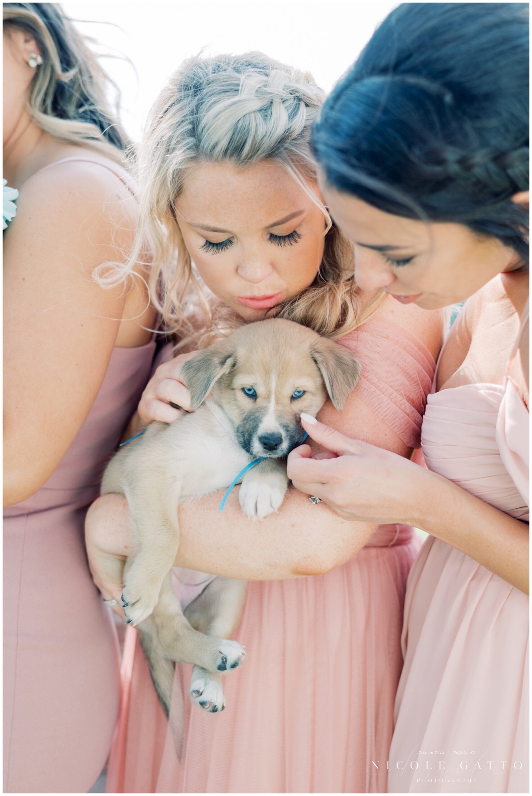 bridesmaid with puppy wedding favors 
