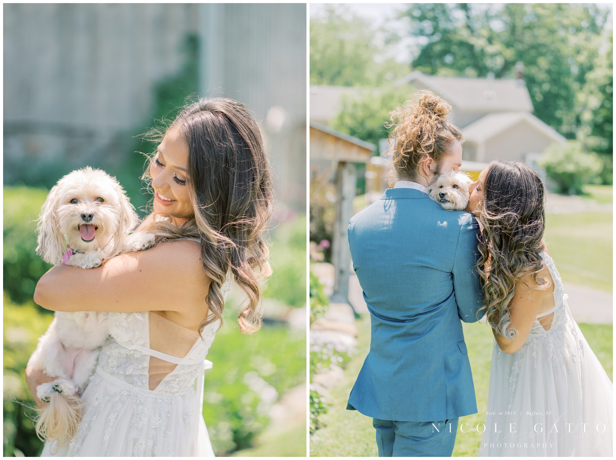 bride and grroms portraits with their dog 