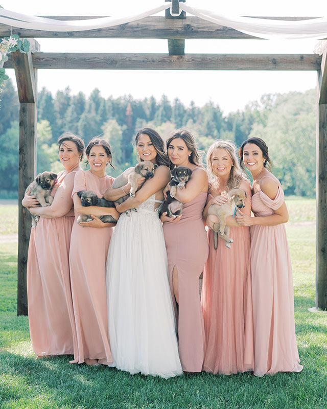 best wedding photographers in buffalo NY, bridesmaids with puppies